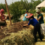 זריעות סתיו- לירון ישראלי, חקלאי ביודינמי