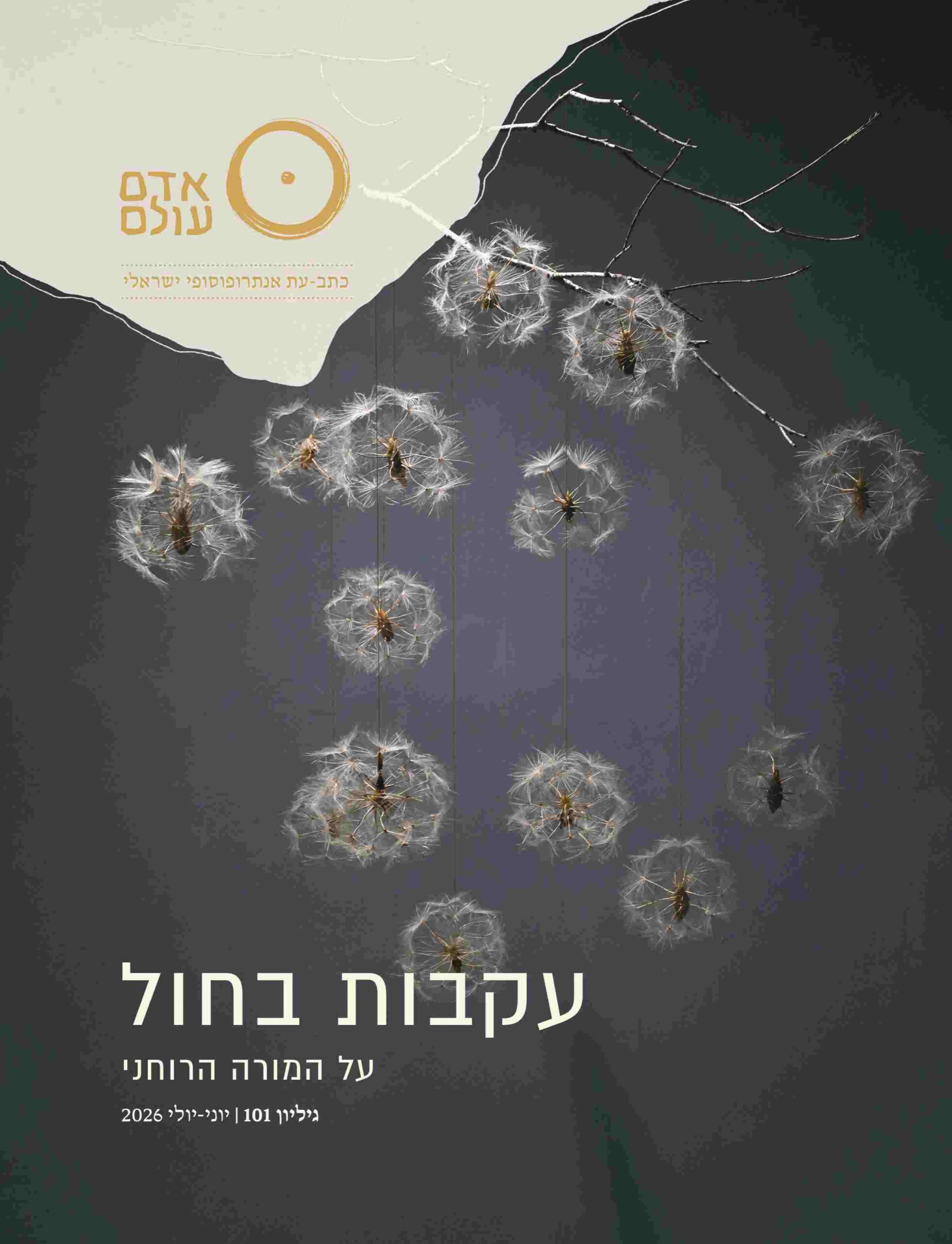 עקבות בחול גיליון 101 כריכה